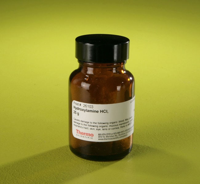 Thermo Fisher Scientific Pierce Hydroxylamine-HCl
