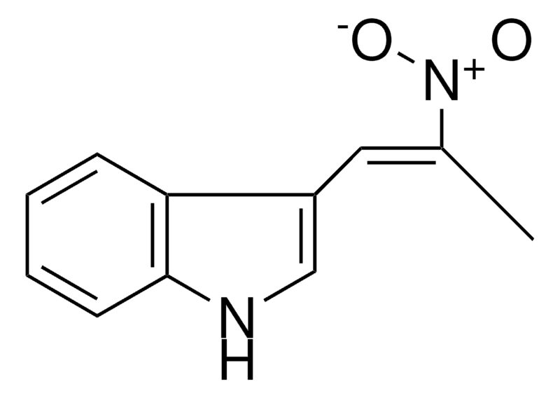 Merck 3-(2-NITRO-1-PROPENYL)INDOLE-