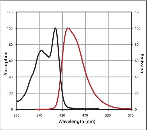 Merck Anti-Rabbit IgG (H+L), CF(TM) 405S antibody produced in goat