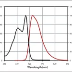Merck Anti-Rabbit IgG (H+L), CF(TM) 405S antibody produced in goat