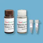 Kindle Biosciences WESTERN BLOT DETECTION KIT