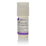 Thermo Fisher Scientific CF1 Mouse Embryonic Fibroblasts, irradiated, 2 million cells (2 x 10<sup>6</sup> cells)