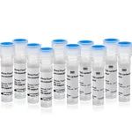 Thermo Fisher Scientific Alexa Fluor 555 Decapack Set