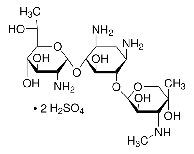 Merck G 418 disulfate salt