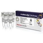 Thermo Fisher Scientific EcoRI Buffer (10X)