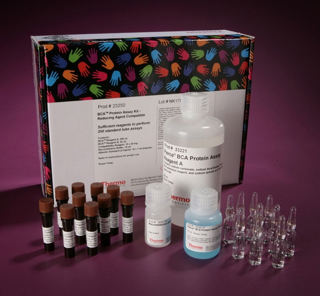 Thermo Fisher Scientific Pierce BCA Protein Assay Kit - Reducing Agent Compatible
