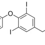 Merck LEVOTHYROXINE