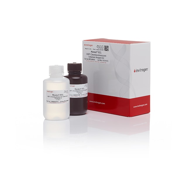 Thermo Fisher Scientific Novex ECL Chemiluminescent Substrate Reagent Kit