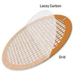 Merck LACEY CARBON SUPPORTED GOLD GRIDS, 300 &