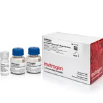 Thermo Fisher Scientific Dynabeads Untouched Mouse CD4 Cells Kit, 2 x 10 mL