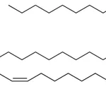 Merck 15:0-18:1-15:0 D5 TG