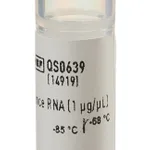Thermo Fisher Scientific Universal Mouse Reference RNA