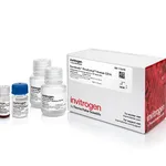 Thermo Fisher Scientific Dynabeads FlowComp Human CD14 Kit