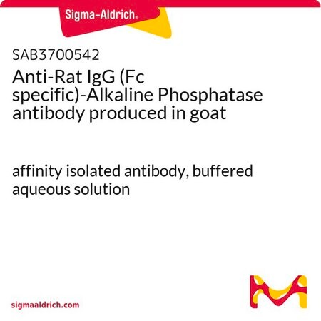 Merck Anti-Rat IgG (Fc specific)-Alkaline Phosphatase antibody produced in goat