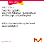 Merck Anti-Rat IgG (Fc specific)-Alkaline Phosphatase antibody produced in goat