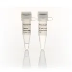 Thermo Fisher Scientific Lambda Exonuclease (10 U/μL), 1,000 units
