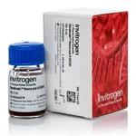 Thermo Fisher Scientific Dynabeads Mouse Pan B (B220)