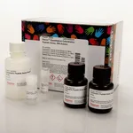 Thermo Fisher Scientific Pierce Quantitative Colorimetric Peptide Assay, 500 Assays