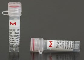 Merck ESIRNA MOUSE IRS2