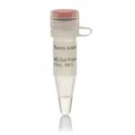 Thermo Fisher Scientific WELQut Protease (5 U/μL)