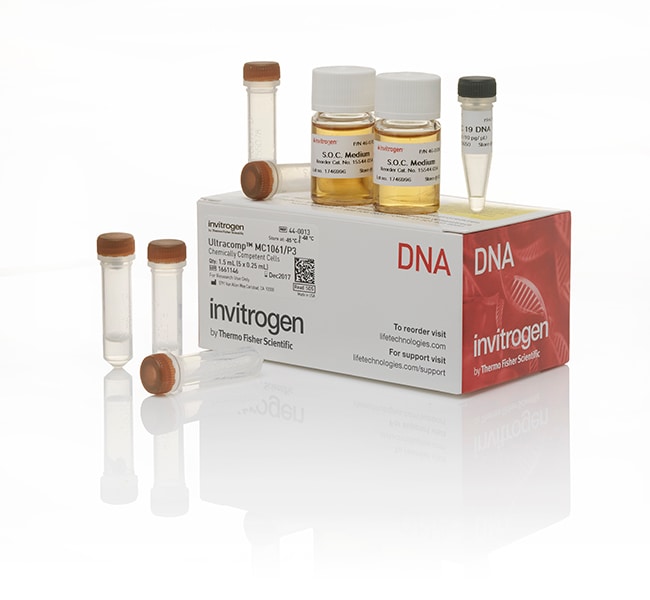 Thermo Fisher Scientific MC1061/P3 Chemically Competent E. coli