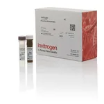 Thermo Fisher Scientific TIM-3 Mouse ProcartaPlex Simplex Kit