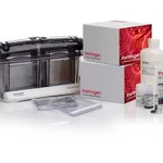 Thermo Fisher Scientific NuPAGE WedgeWell Tris-Acetate Welcome Pack, 3 to 8%, 10-well, 1 Welcome Pk. kit