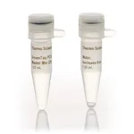 Thermo Fisher Scientific DreamTaq PCR Master Mix (2X), 4 x 1.25 mL