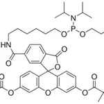 Merck 6-FLUORESCEIN PHOSPHORAMDITE