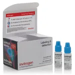 Thermo Fisher Scientific Vybrant DyeCycle Violet Ready Flow Reagent