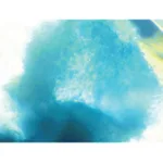 Himedia HiPer® Teaching Kit forChondrogenic Differentiation andStaining