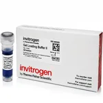 Thermo Fisher Scientific Gel Loading Buffer II (Denaturing PAGE), 1 mL