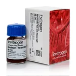 Thermo Fisher Scientific Dynabeads Rat Anti-Mouse IgM