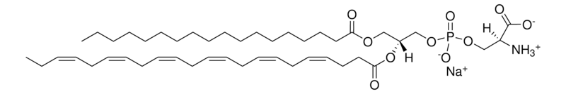 Merck 18:0-22:6 PS