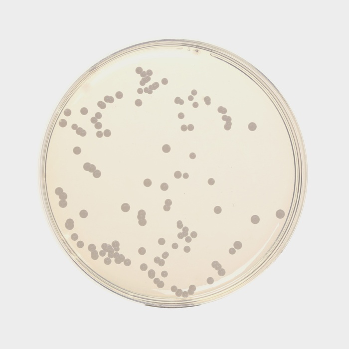 Himedia Sabouraud Dextrose Agar, Granulated