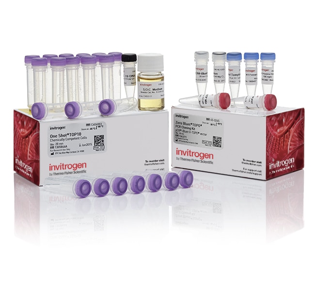 Thermo Fisher Scientific Zero Blunt TOPO PCR Cloning Kit, with One Shot TOP10 Chemically Competent E. coli cells, 25 Reactions
