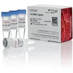 Thermo Fisher Scientific T4 DNA Ligase (1 U/μL), 100 U