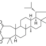 Merck 2,3-SECO-LUPANE-2,3-DIOIC ACID - 1 MG&