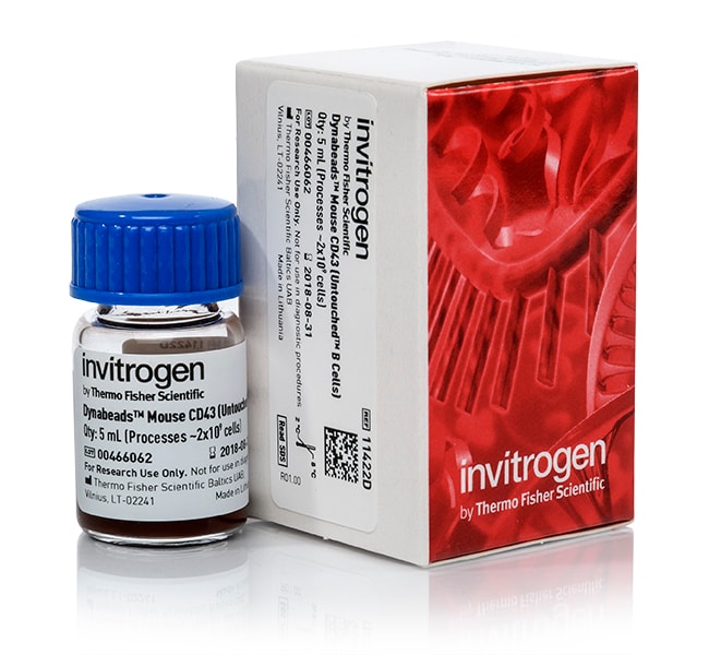 Thermo Fisher Scientific Dynabeads Mouse CD43 (Untouched B Cells)