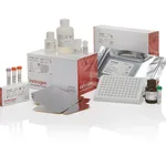 Thermo Fisher Scientific QuantiGene Singleplex HT Assay Kit