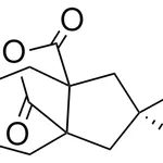 Merck ALDRICHCPR T205060-