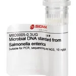 Merck MICROBIAL DNA STANDARD FROM SALMONELLA E
