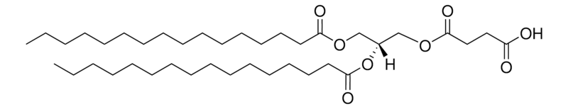 Merck 16:0 DGS