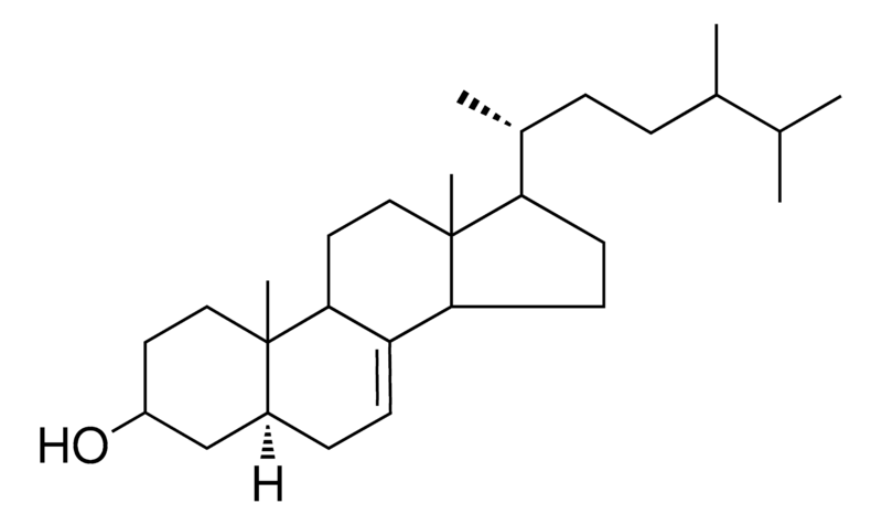 Merck 5-ALPHA-CAMPEST-7-EN-3-BETA-OL-