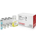 Thermo Fisher Scientific Collibri Library Quantification Kit, 100 reactions