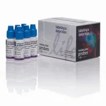 Thermo Fisher Scientific NucBlue Fixed Cell ReadyProbes Reagent (DAPI)