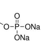 Merck BETA-GLYCEROL PHOSPHATE DISODIUM SALT &