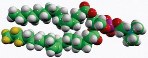 Merck 15:0-18:1-D7-PC