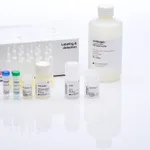Thermo Fisher Scientific Click-iT Protein Enrichment Kit, for click chemistry capture of azide-modified proteins