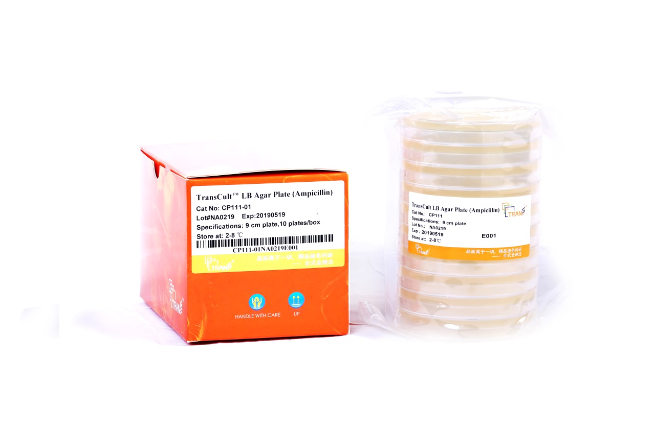 TransCult® LB Agar Plate (Ampicillin)